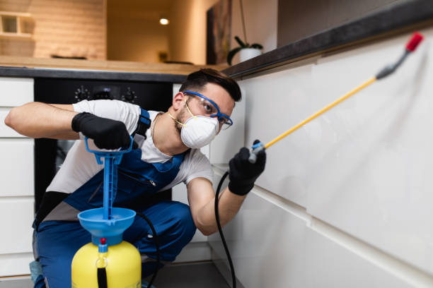 Pest Control for Restaurants in Cordova, AL
