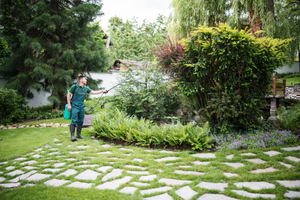 Best Ant Control Services  in Cordova, AL