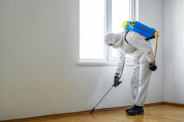 Best Mosquito Control Services  in Cordova, AL