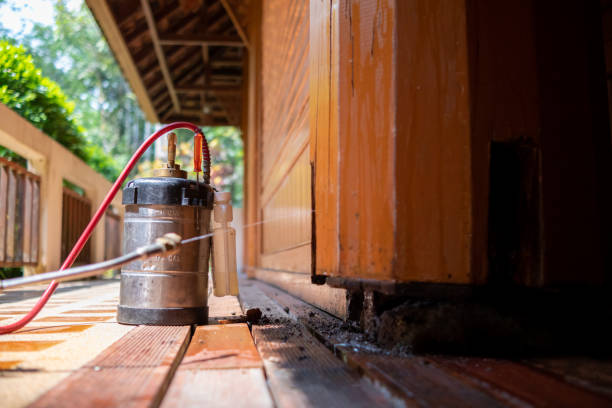 Best Exterminator Services  in Cordova, AL