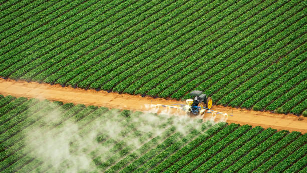 Best Pest Removal Services  in Cordova, AL