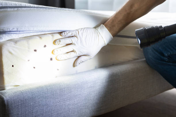 Best Pest Prevention Services  in Cordova, AL