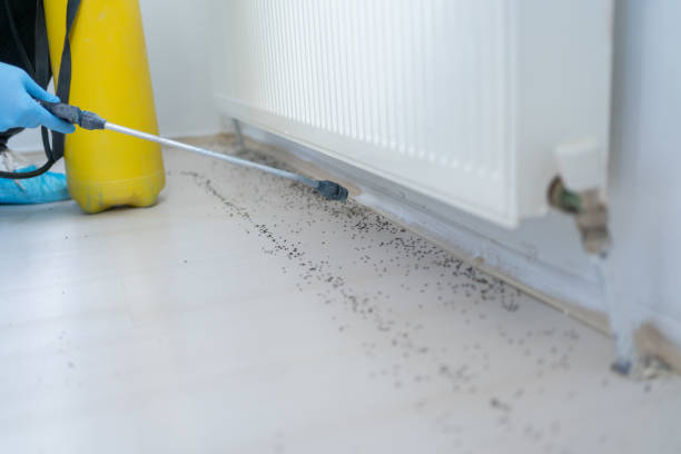 Best Bed Bug Extermination  in Cordova, AL
