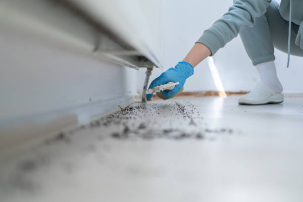 Reliable Cordova, AL Pest Control Solutions